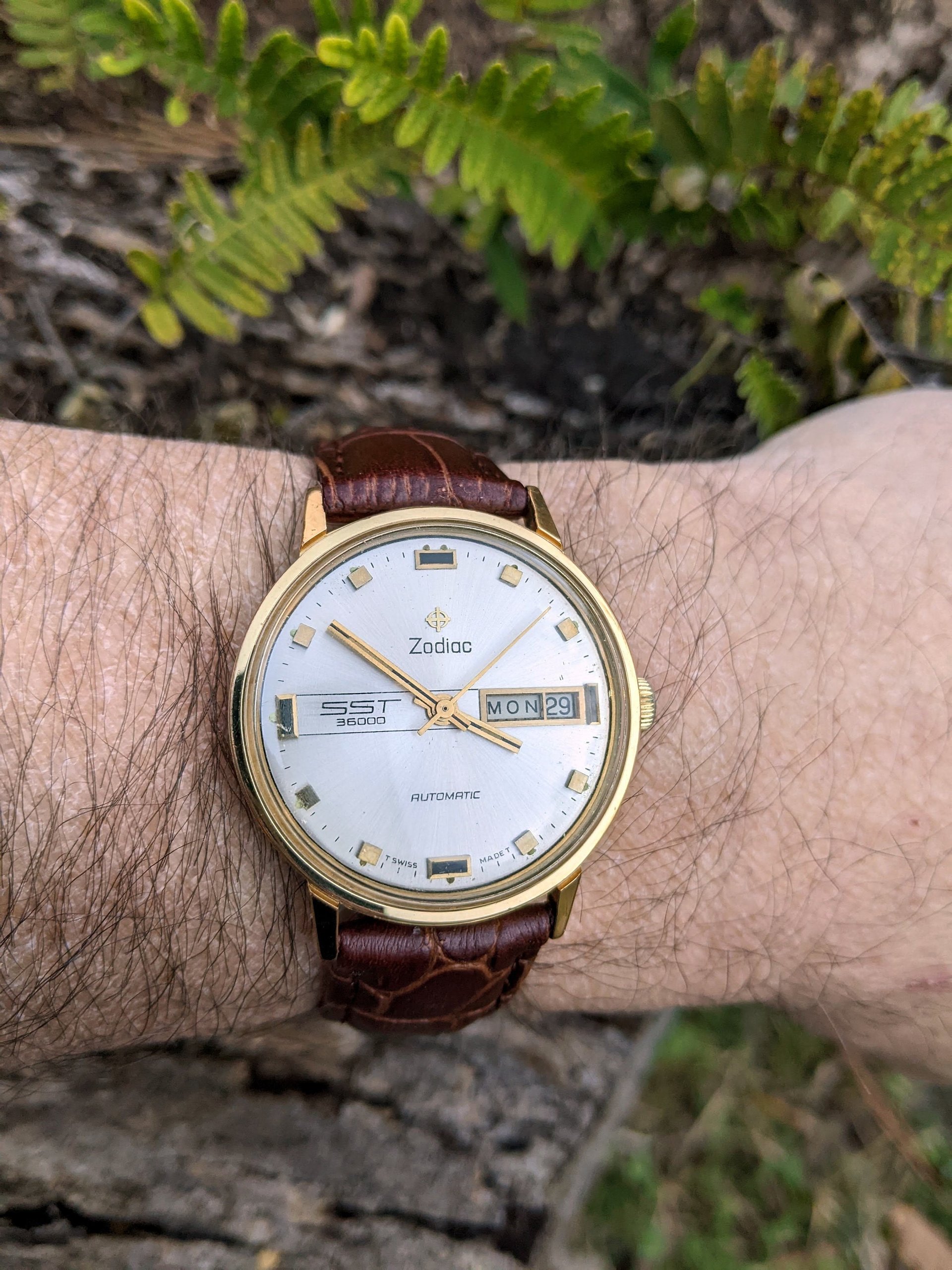 Montgomery Watch Co